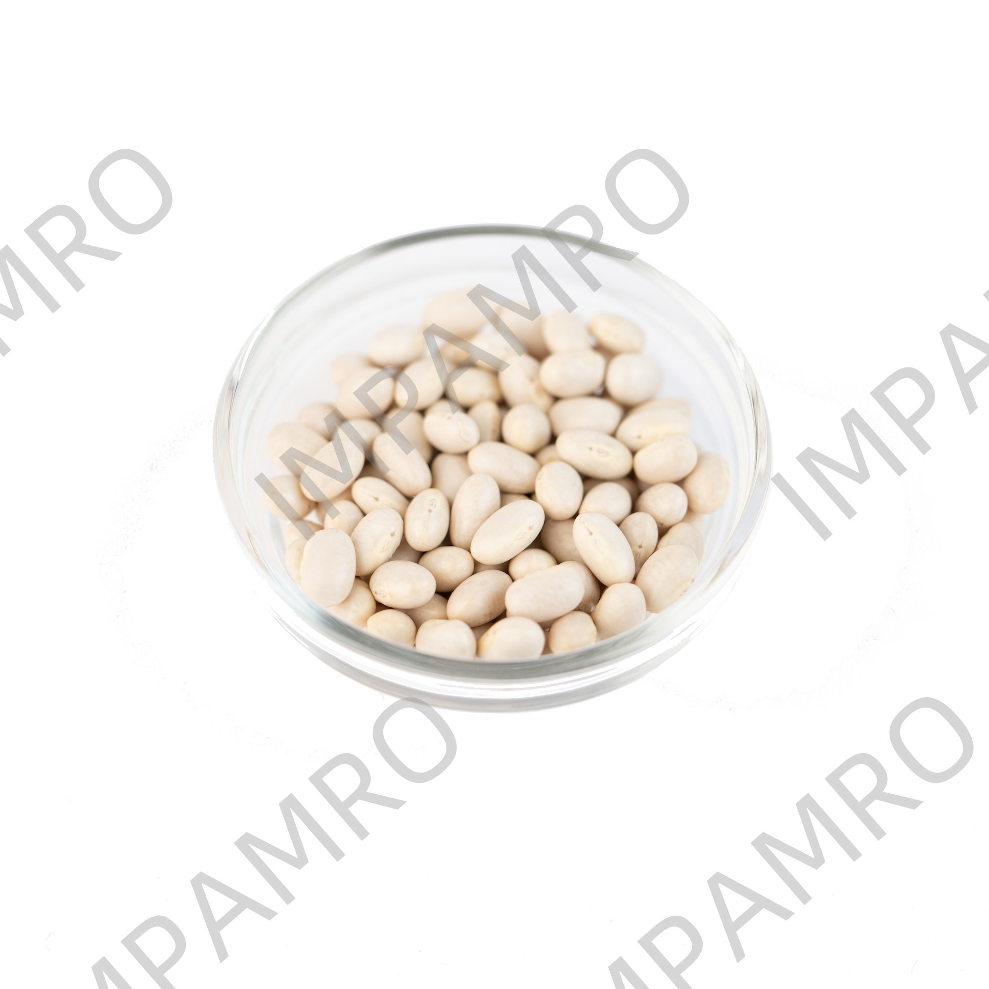 003213 BEANS WHITE DRY KOTEBO