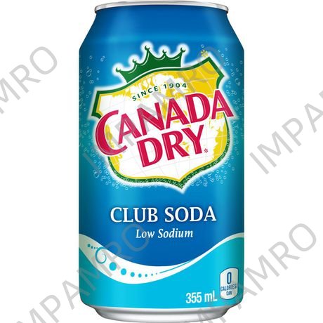 SODA WATER CANADADRY 250MLX30TIN