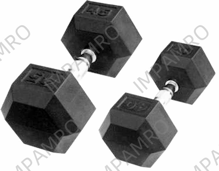 DUMBBELL SET