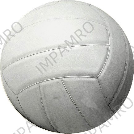 VOLLEY BALL LEATHER
