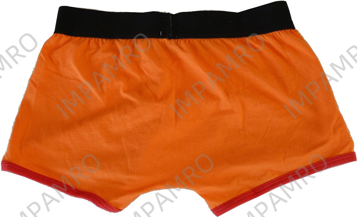 BRIEF COTTON COLORED SIZE-M
