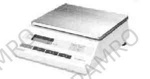 SCALE PORTABLE DIGITAL CAPACITY 5.0KGS