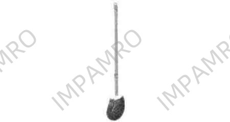 BRUSH TOILET COIR