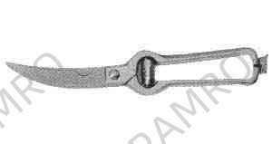 POULTRY SECATEUR 250MM STAINLESS STEEL