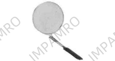 WIRE SKIMMER STAINLESS STEEL W/WOOD HANDLE DIAM 200MM