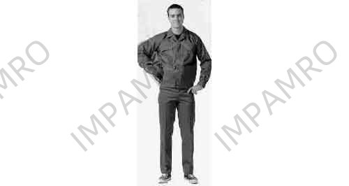 JACKET WORKING NAVY BLUE, XXL (3L) ANTI-ELECTRO-STATIC