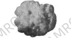 OIL ABSORBENT PELLET IGNEOUS, ROCK NO.2 100LTR (10KG)