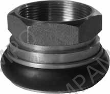 ADAPTER FIREHOSE BRASS MACHINO, 2" FEMALE/THREAD 2" FEMALE