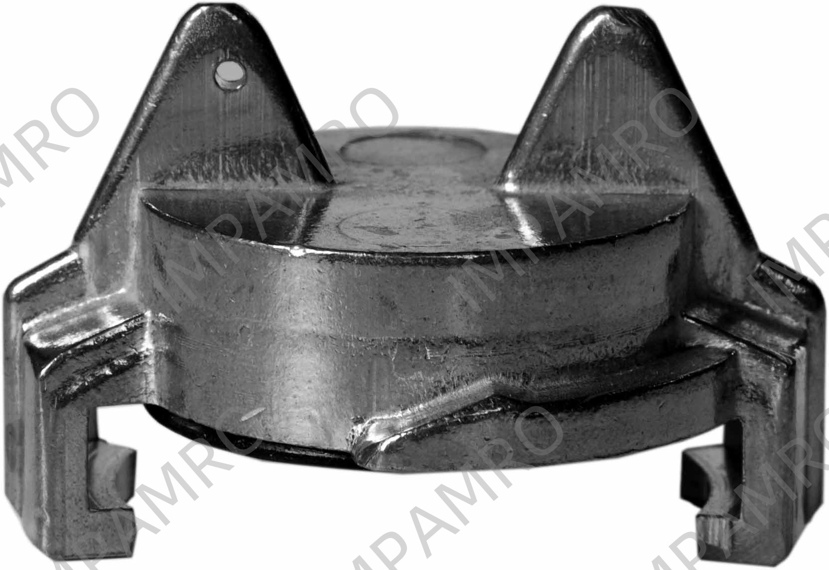 CAP WATER HOSE BRASS