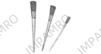 SASH TOOL OVAL 30MM