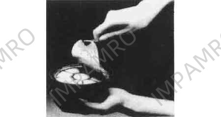 SELF-HEAT COCKROACH FUMIGATOR, 20GRM FOR 10-13M2 CAPACITY