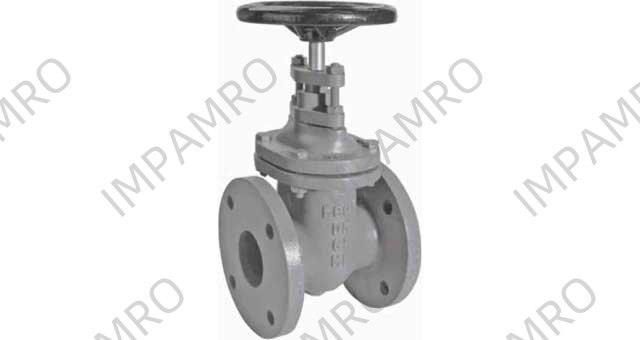 GATE VALVE DIN CAST IRON, FLANGED PN10 #292 65MM