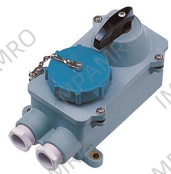 RECEPTACLE W/T IEC W/SWITCH, 2P+E 200-250V BLUE RSI2-22