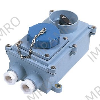RECEPTACLE W/T IEC TYPE W/LOCK, 2P+E AC200-250V BLUE RSIL2-2