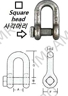 D SHACKLE