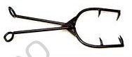 SHARK SHEARS