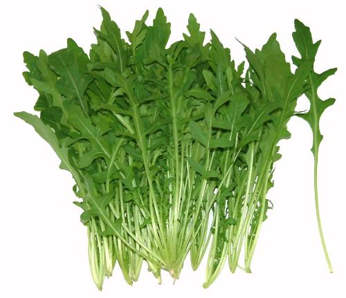 000178 - 芝麻菜（整棵）新鲜