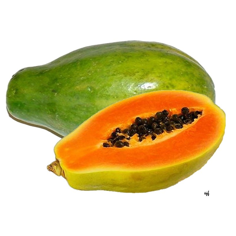 000558 - 木瓜（新鲜）