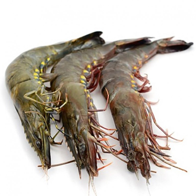 001131 - 对虾（整只冷冻）
