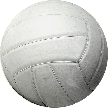 VOLLEY BALL LEATHER