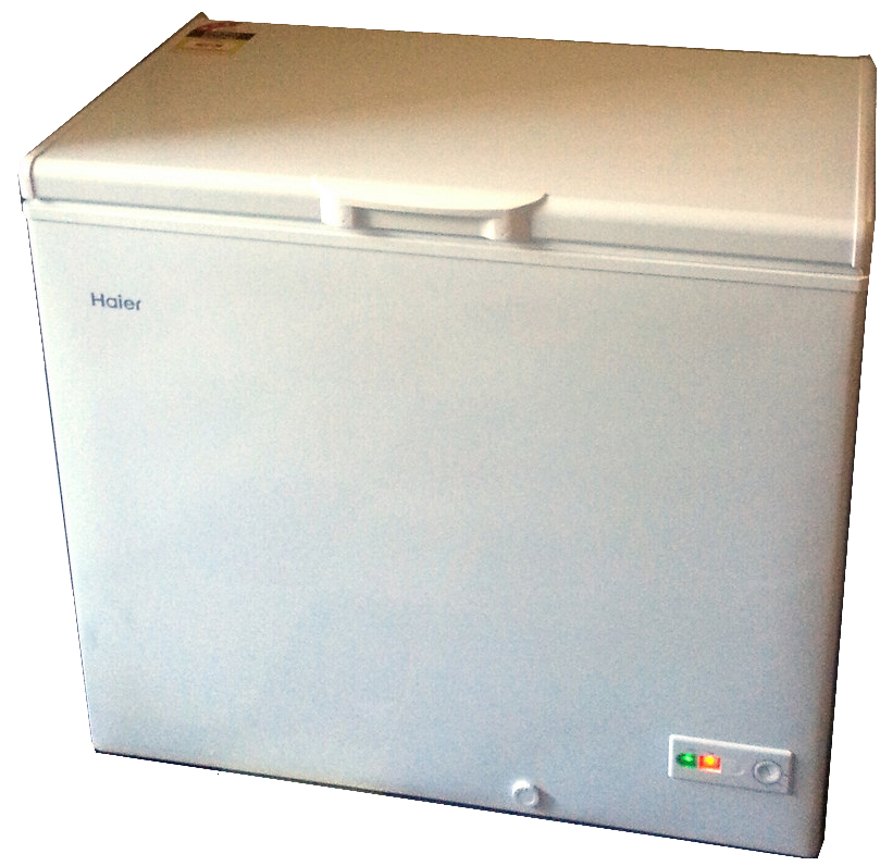 174652 - 冰柜 卧式 110V 200升