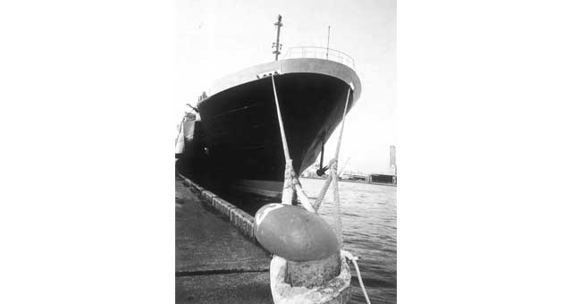 211565 - 8股海洋复合系泊缆绳 周长14-7 8英寸×200米（NK认证）