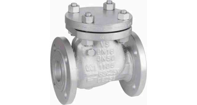 755952 - 止回阀 DIN标准 铸钢 法兰连接 旋启式 PN16 #109 DN 50