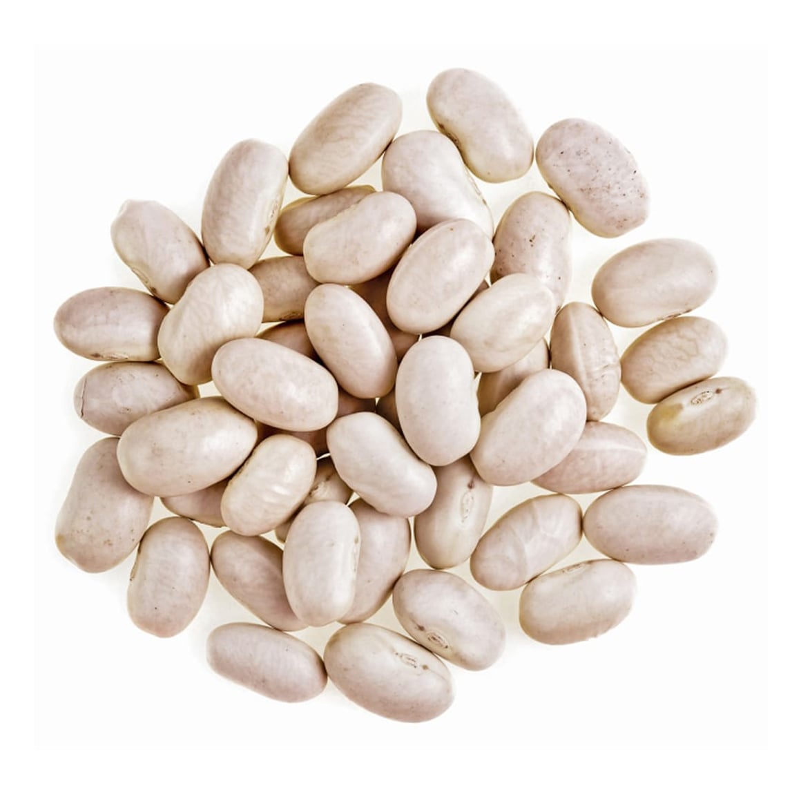 003215 BEANS WHITE LARGE DRY, (GREAT NORTHERN)