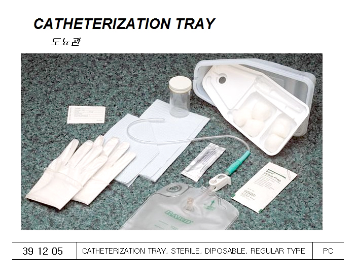 391209   CATHETERIZATION TRAY, STERILE, DIPOSABLE, REGULAR TYPE-PC
