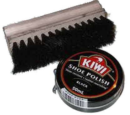 110971 SHOE POLISH SOLID 45GRM