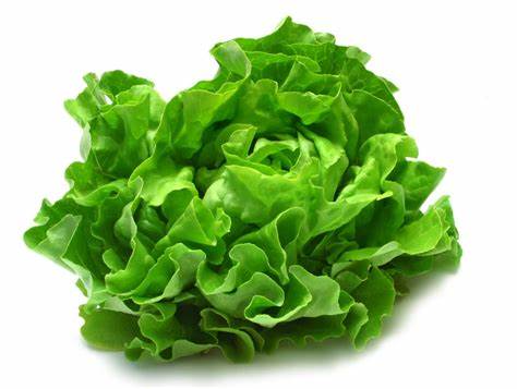 000143  LETTUCE SALAD FRESH