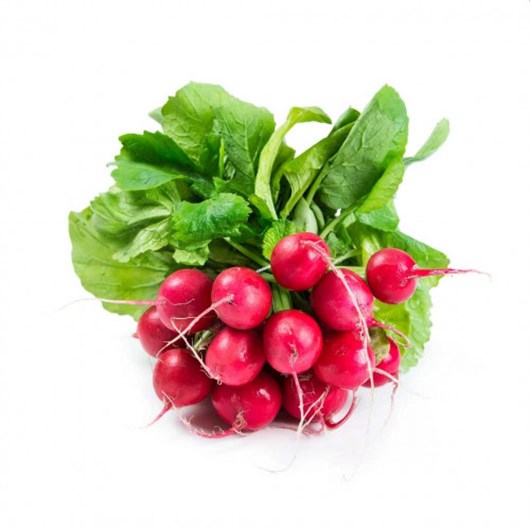 000175  RADISH RED FRESH