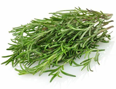 000177  ROSEMARY FRESH