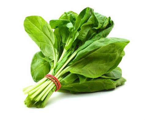 000182  SPINACH FRESH