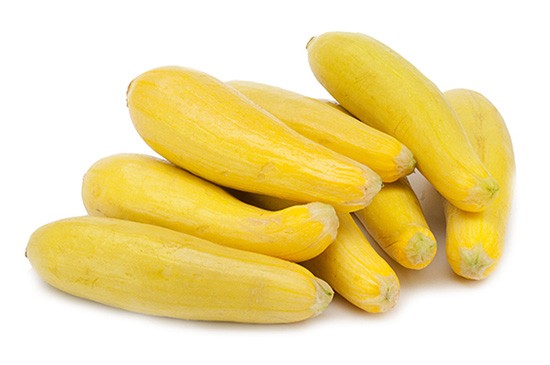 000183  SQUASH YELLOW