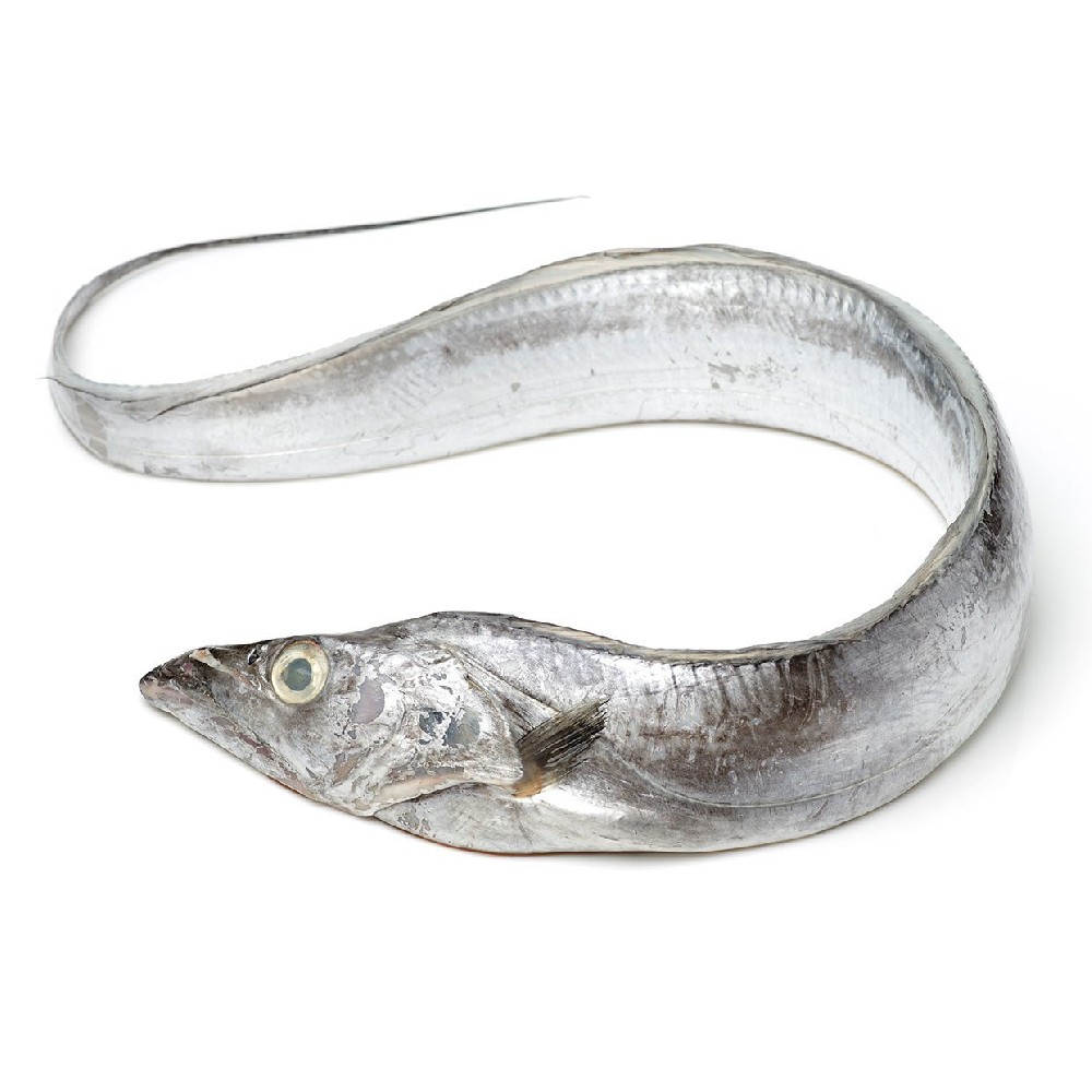 000718  HAIR TAIL(BELT FISH, TACHIUO), FROZEN