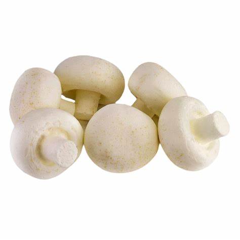 000150 MUSHROOM FRESH SMALL SIZE