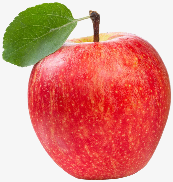 000503 APPLE TABLE 110S-140S