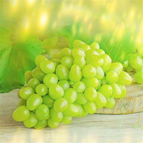 000531 GRAPE FANCY FRESH